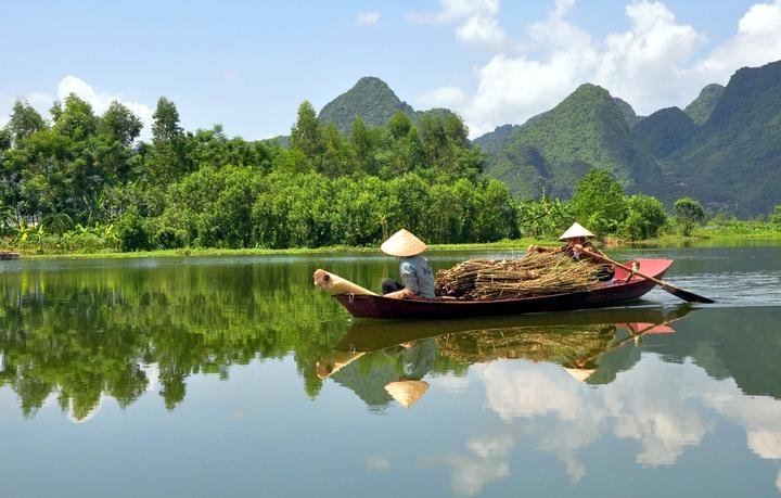 Triệu View Từ Vlog Thú Cưng: Bí Quyết Thành Công Cùng Hotspot Matrix