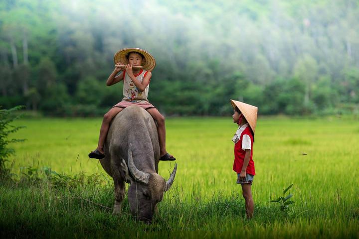 Xu hướng Mỹ nam Trung Quốc tưởng xấu: Hotspot Matrix tiết lộ bí quyết video viral