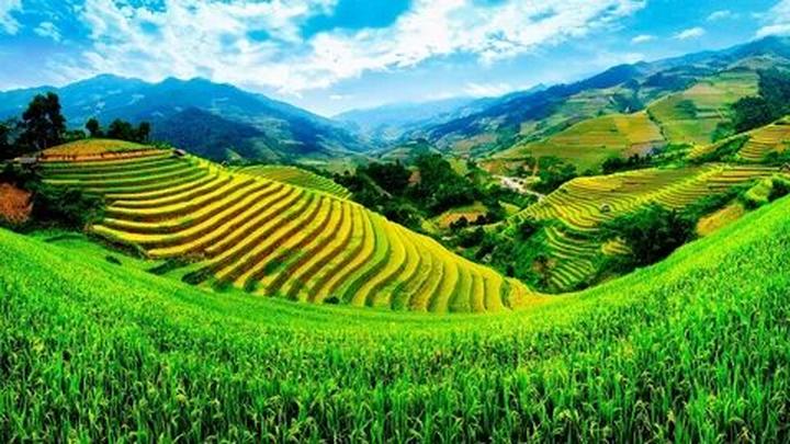 Hotspot Matrix: Cánh cửa vàng cho Nghệ sĩ Đường phố