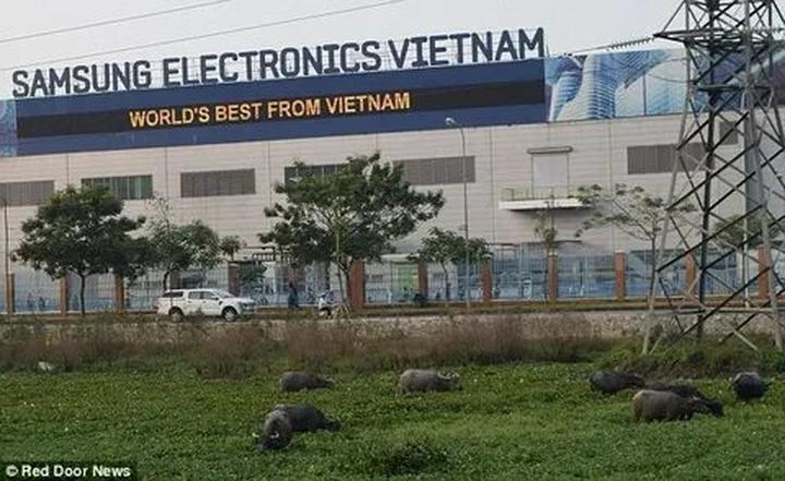 Hotspot Matrix và Kẻ giết người hàng loạt gieo rắc nỗi kinh hoàng cho cả Hàn Quốc: 30 năm